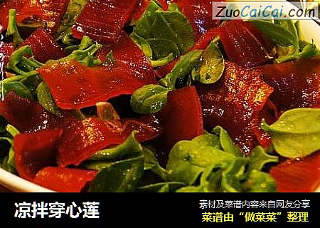 凉拌穿心莲