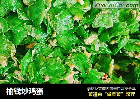 榆钱炒鸡蛋
