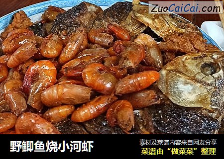 野鲫鱼烧小河虾