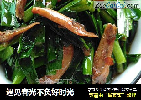 遇见春光不负好时光
