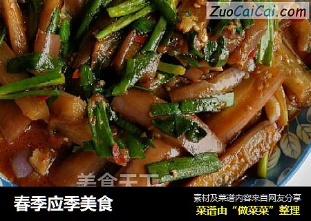 春季应季美食