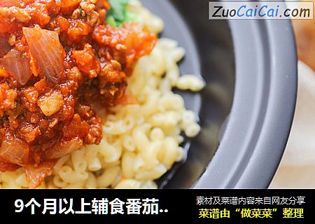 9个月以上辅食番茄肉酱意面