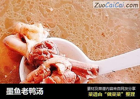 墨鱼老鸭汤