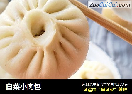 白菜小肉包