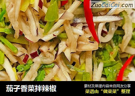 茄子香菜拌辣椒