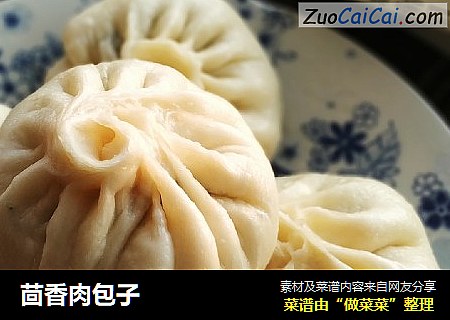 茴香肉包子