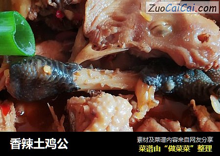 香辣土鸡公