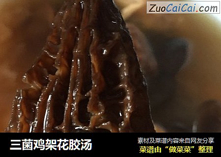 三菌鸡架花胶汤