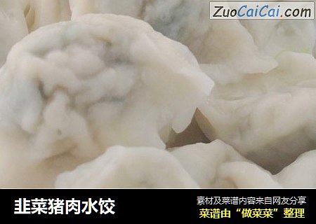 韭菜猪肉水饺