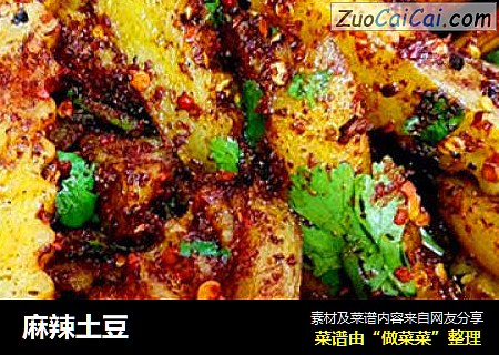 麻辣土豆