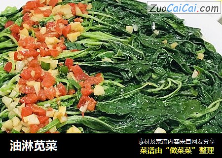 油淋苋菜