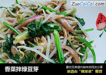 香菜拌绿豆芽
