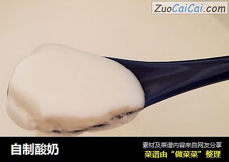 自制酸奶