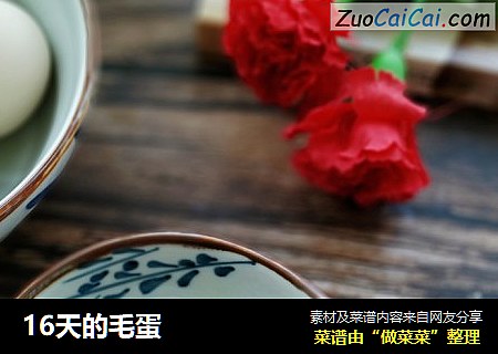 16天的毛蛋