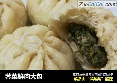 荠菜鲜肉大包