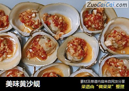 美味黄沙蚬