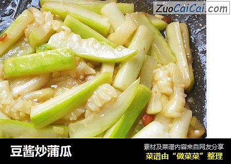 豆酱炒蒲瓜