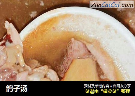 鸽子汤
