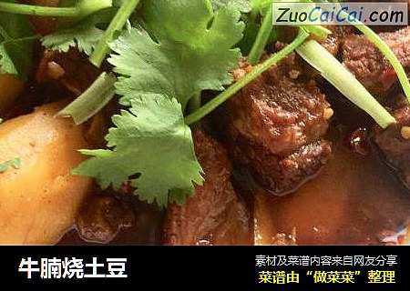 牛腩烧土豆
