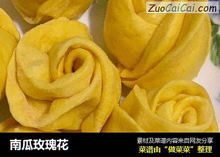 南瓜玫瑰花