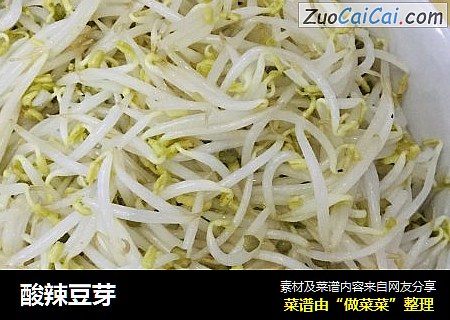 酸辣豆芽