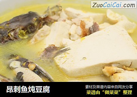 昂刺鱼炖豆腐