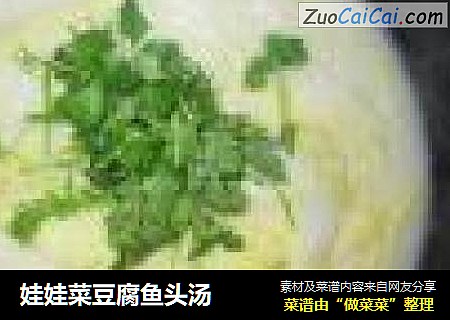 娃娃菜豆腐鱼头汤