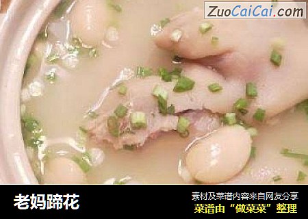 老妈蹄花