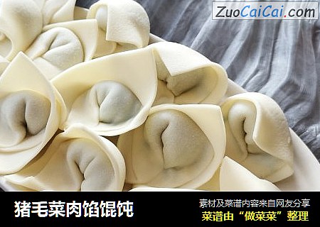 猪毛菜肉馅馄饨