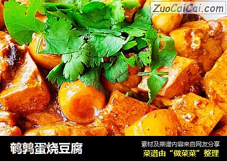 鹌鹑蛋烧豆腐