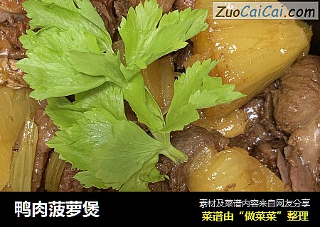 鸭肉菠萝煲