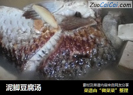 泥鲫豆腐汤