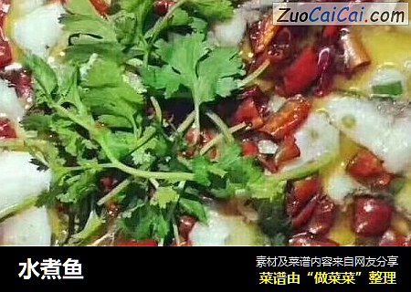 水煮鱼