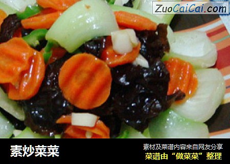 素炒菜菜