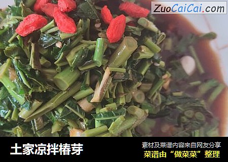 土家凉拌椿芽