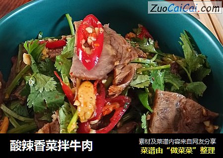 酸辣香菜拌牛肉