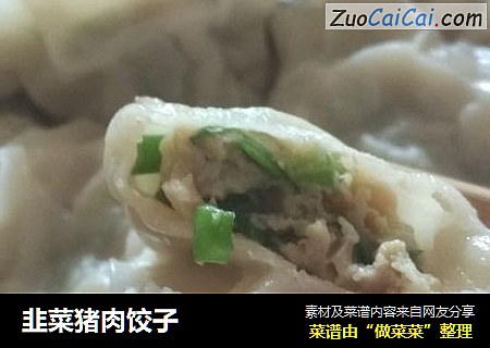 韭菜猪肉饺子