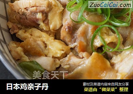 日本鸡亲子丹