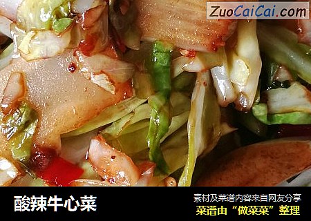 酸辣牛心菜