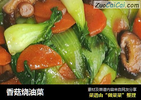 香菇烧油菜