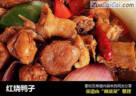 红烧鸭子