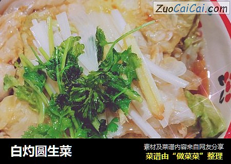 白灼圆生菜