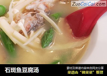 石斑鱼豆腐汤