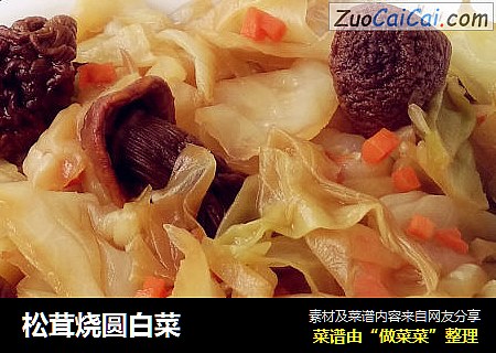 松茸烧圆白菜