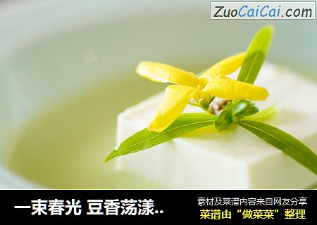 一束春光 豆香荡漾——豌豆豆腐汤 