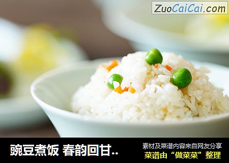 豌豆煮饭 春韵回甘——粒粒豌豆饭 