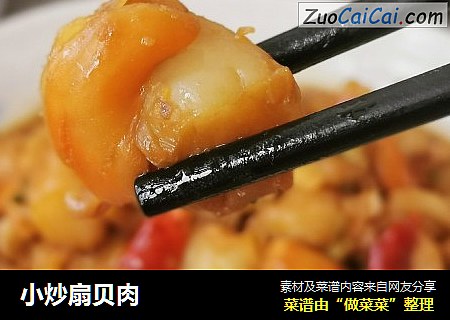 小炒扇贝肉