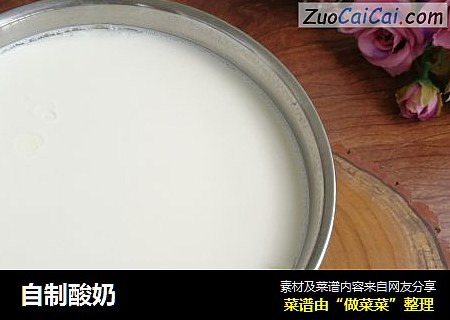 自制酸奶
