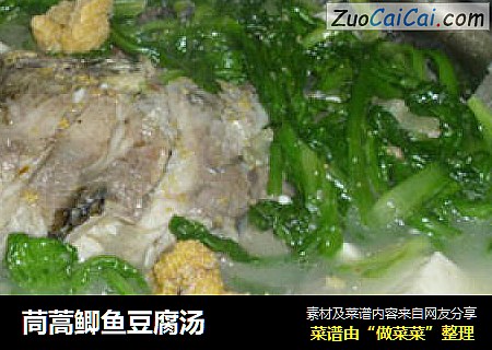 茼蒿鲫鱼豆腐汤
