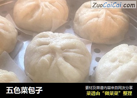 五色菜包子